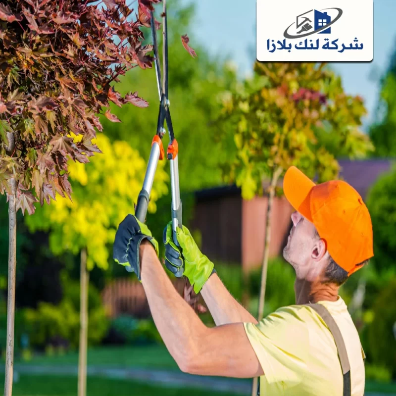 شركة تنسيق حدائق في عجمان |0545754377| صيانة الحدائق