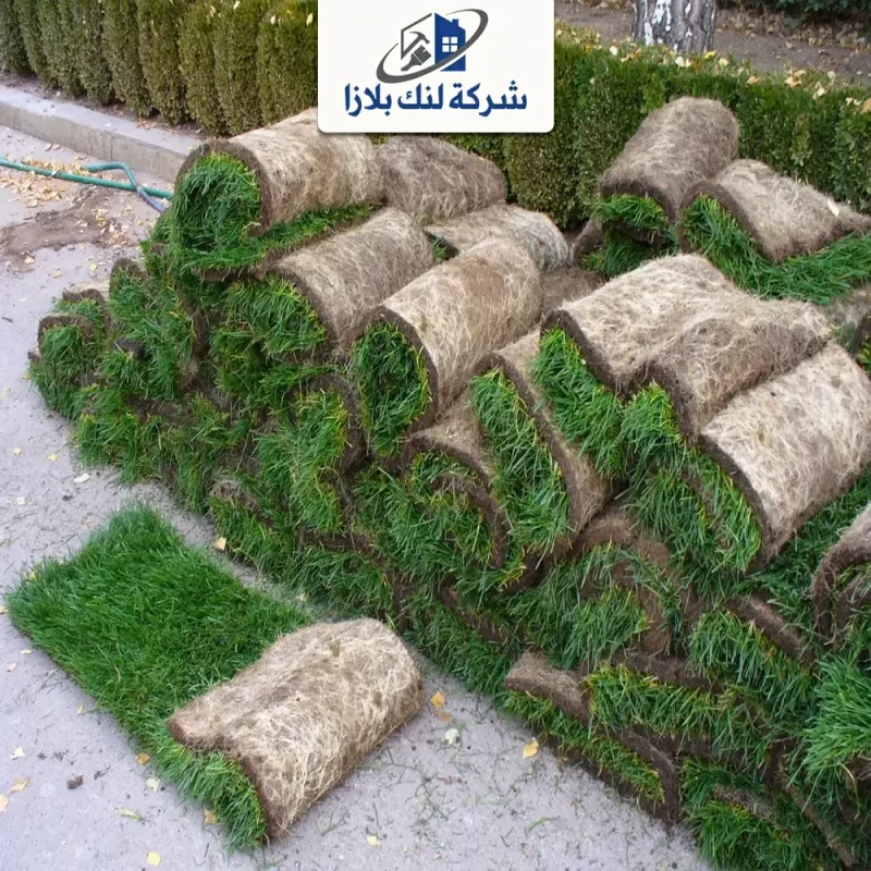 Supply and installation of natural grass Abu Dhabi