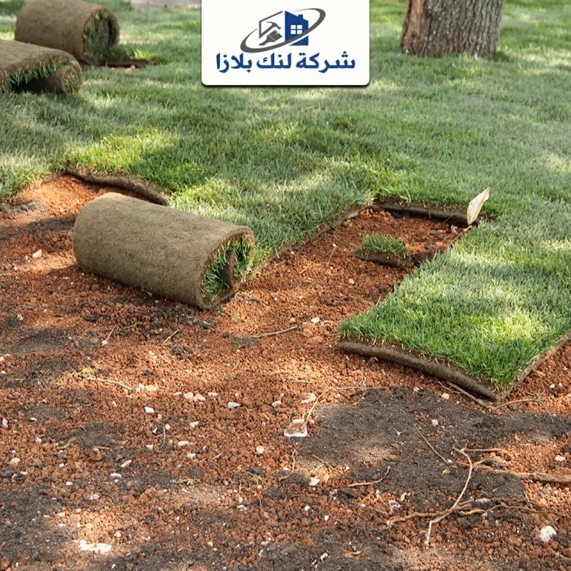 Installation of artificial grass Ras Al Khaimah