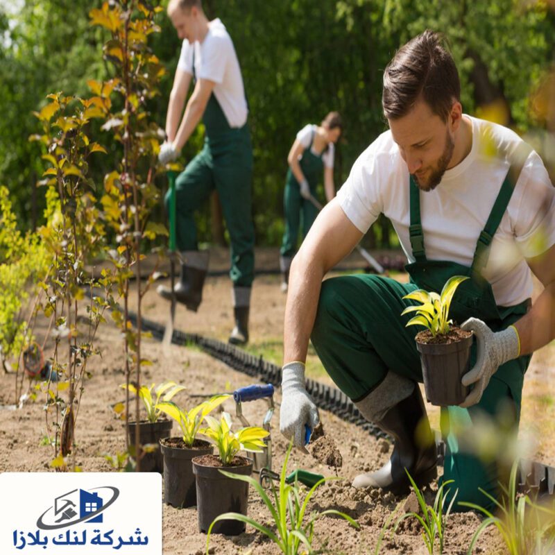 شركة تنسيق حدائق في راس الخيمة |0545754377| صيانة الحدائق