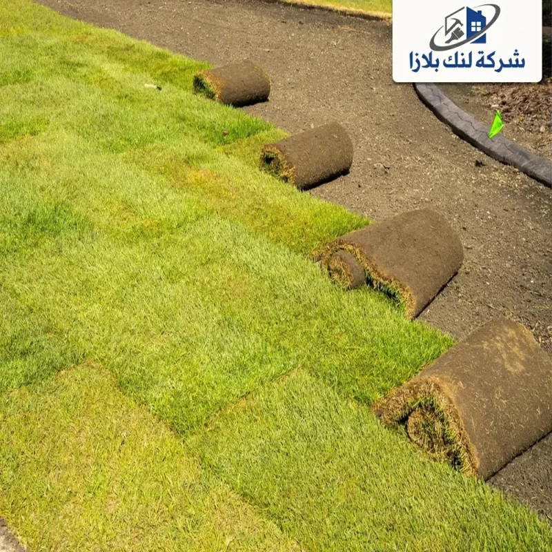 Supply and installation of natural grass Ras Al Khaimah