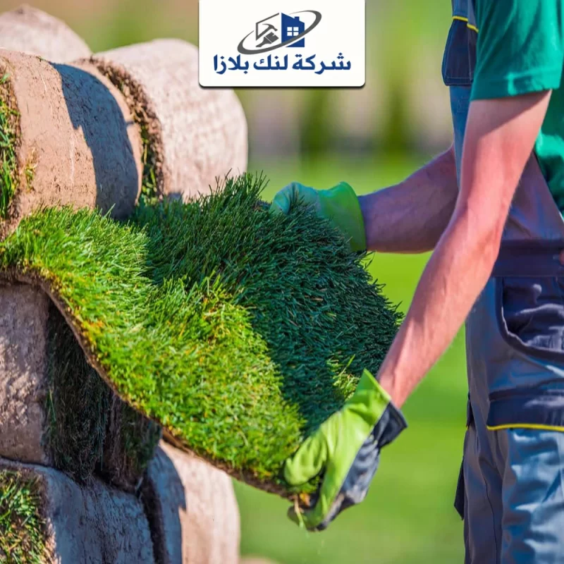 Installation of artificial grass Ras Al Khaimah