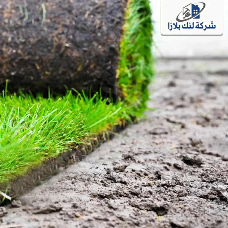 Supply and installation of natural grass Ajman