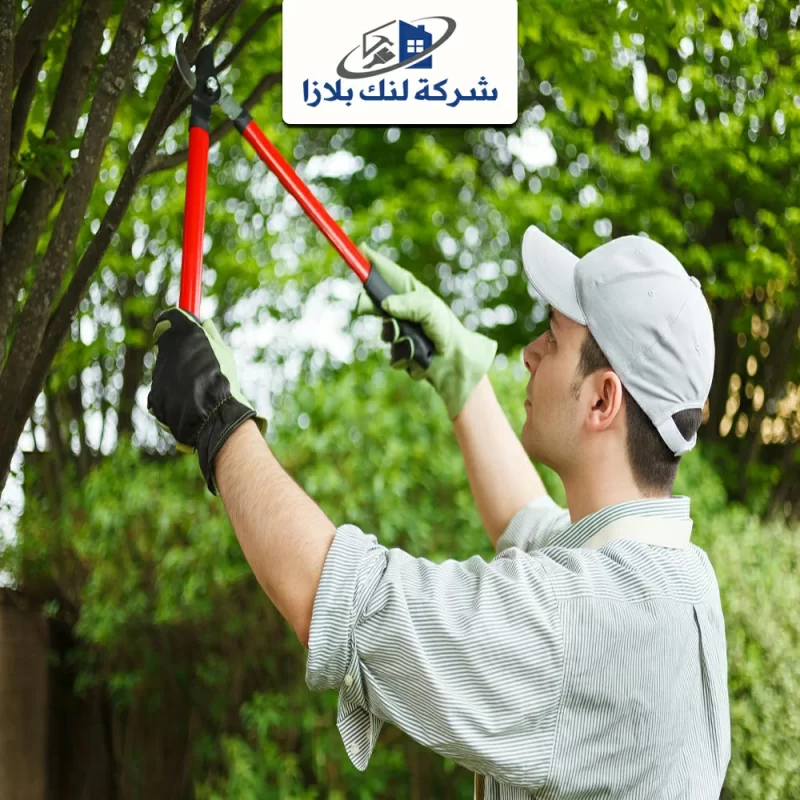 Landscaping company in Sharjah