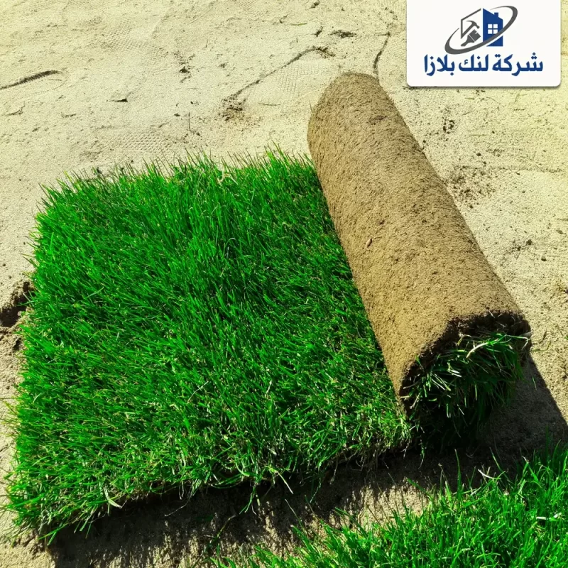 Supply and installation of natural grass Ras Al Khaimah