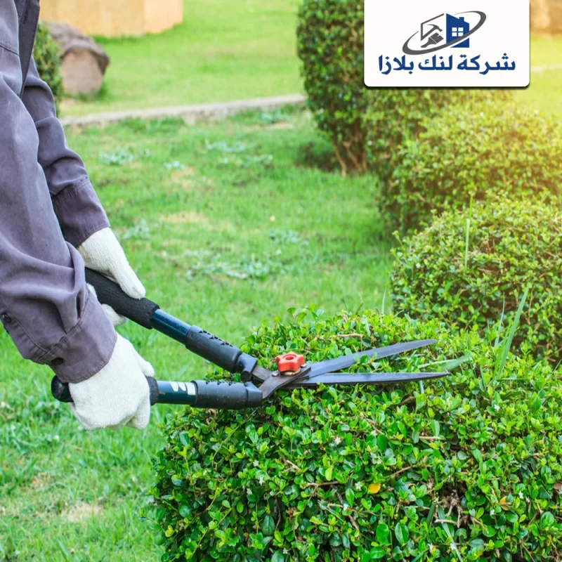 A landscaping company in Ajman