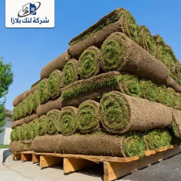 توريد وتركيب عشب طبيعي راس الخيمة |0566405434 توريد وتركيب عشب طبيعي راس الخيمة |0566405434