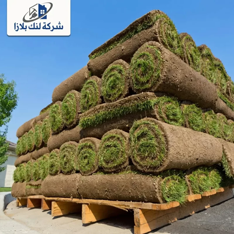توريد وتركيب عشب طبيعي راس الخيمة |0566405434 توريد وتركيب عشب طبيعي راس الخيمة |0566405434