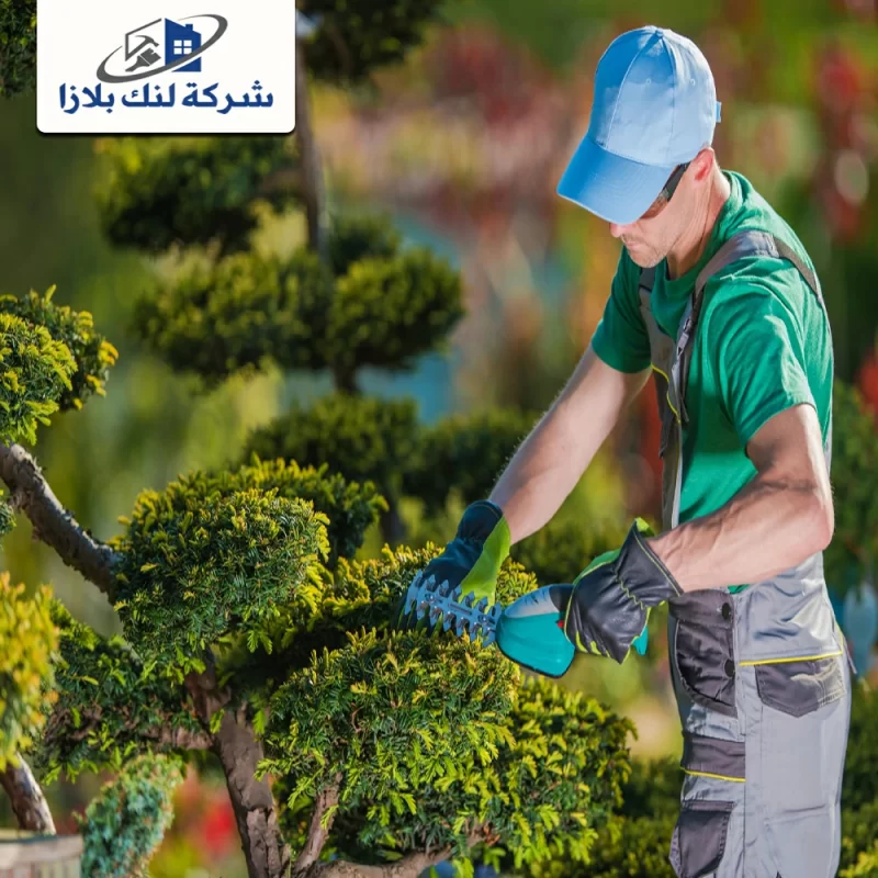 شركة تنسيق حدائق في العين |0566405434| لاند سكيب
