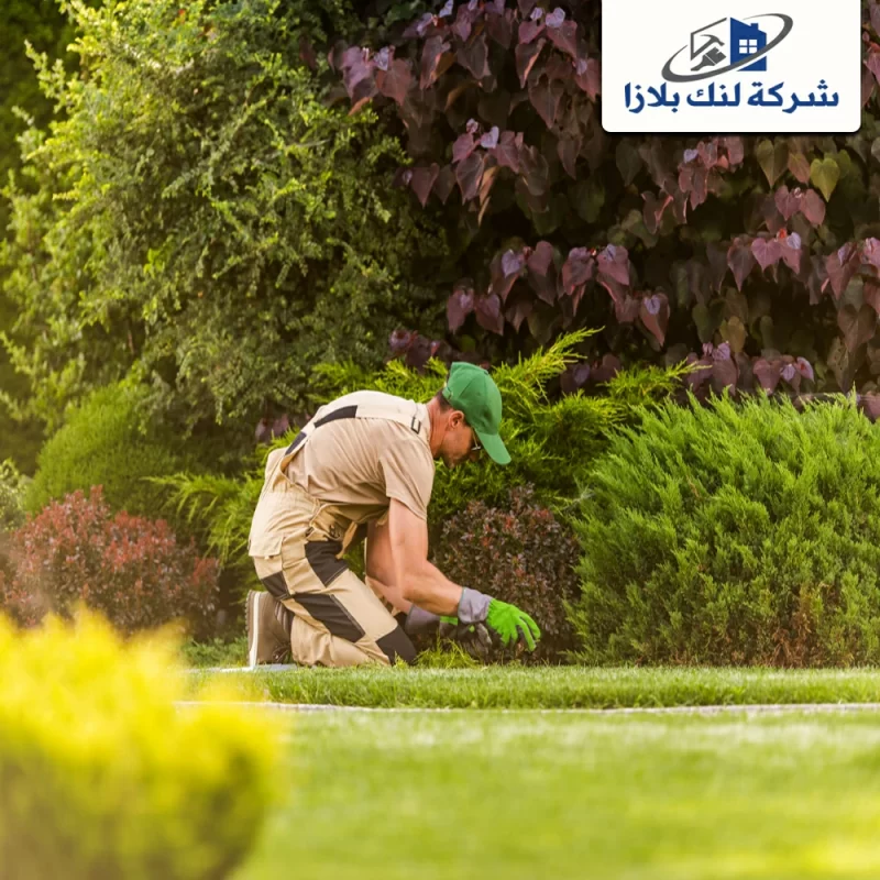 شركة تنسيق حدائق في عجمان |0566405434| صيانة الحدائق شركة تنسيق حدائق في عجمان |0566405434| صيانة الحدائق