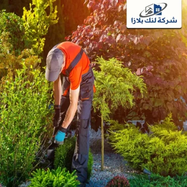 شركة تنسيق حدائق في الشارقة |0566405434| ديكورات حدائق
