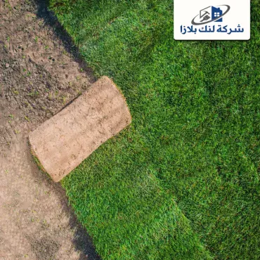 تركيب عشب صناعي راس الخيمة |0566405434| افضل الاسعار تركيب عشب صناعي راس الخيمة |0566405434| افضل الاسعار