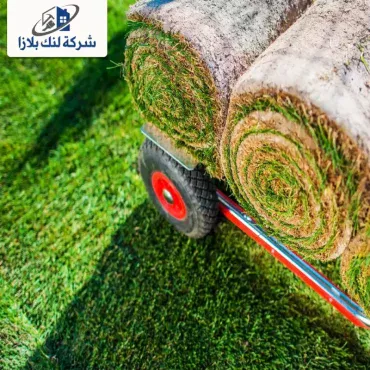 توريد وتركيب عشب طبيعي ابوظبي |0566405434| نجيل طبيعي توريد وتركيب عشب طبيعي ابوظبي |0566405434| نجيل طبيعي