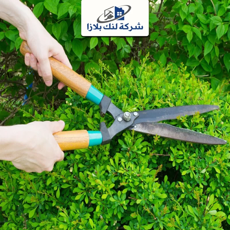 شركة تنسيق حدائق في عجمان |0566405434| صيانة الحدائق شركة تنسيق حدائق في عجمان |0566405434| صيانة الحدائق