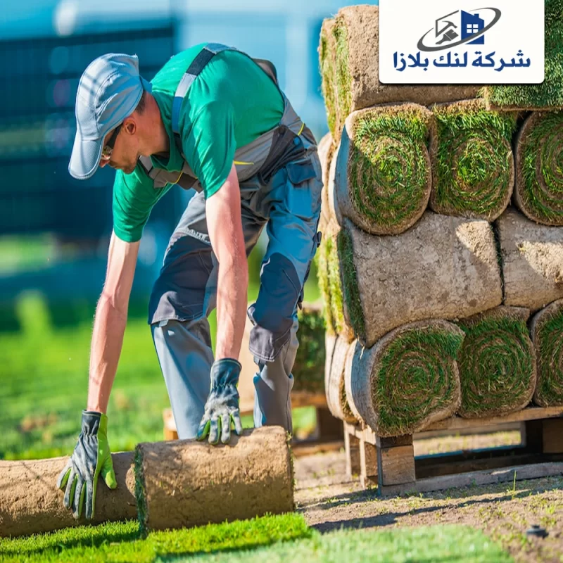 شركة تنسيق حدائق في راس الخيمة |0566405434| صيانة الحدائق شركة تنسيق حدائق في راس الخيمة |0566405434| صيانة الحدائق