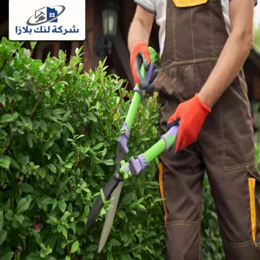 شركة تنسيق حدائق في ابوظبي |0566405434| شركة  لنك بلازا شركة تنسيق حدائق في ابوظبي |0566405434| شركة  لنك بلازا