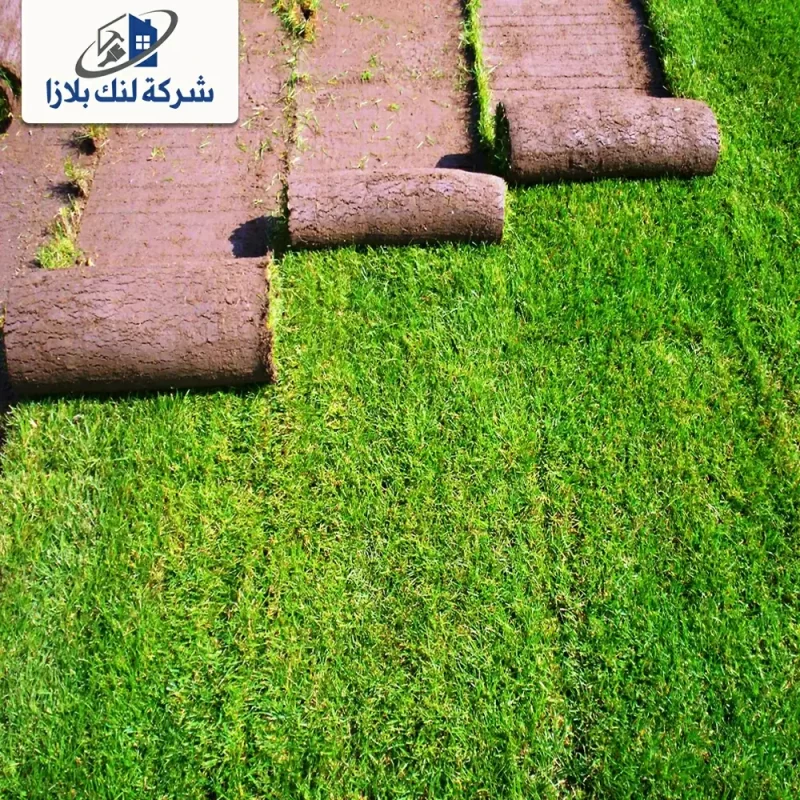 توريد وتركيب عشب طبيعي راس الخيمة |0566405434 توريد وتركيب عشب طبيعي راس الخيمة |0566405434