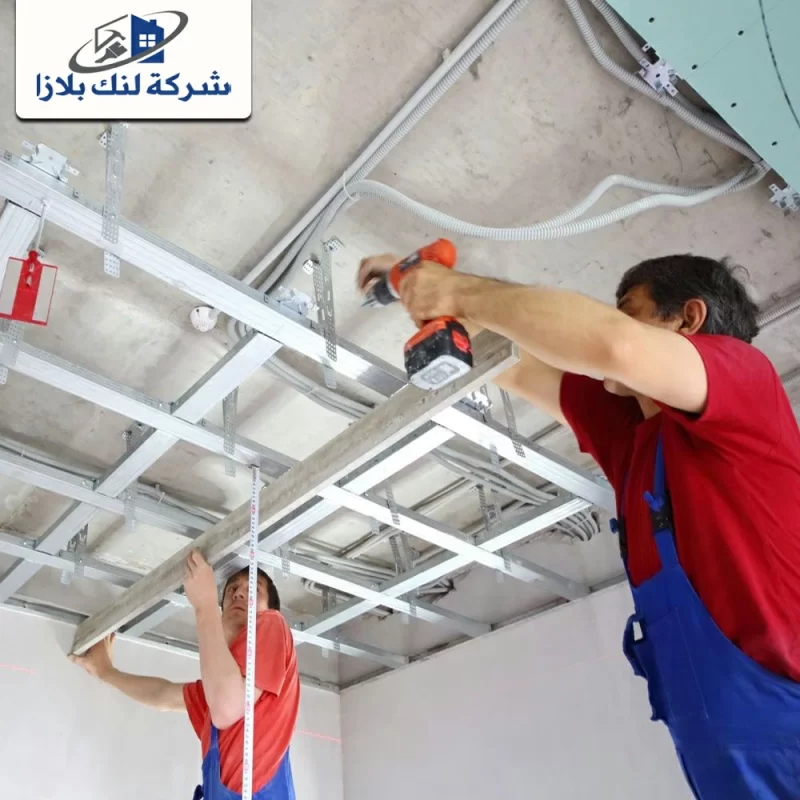 Forseling installation in the aleayin 