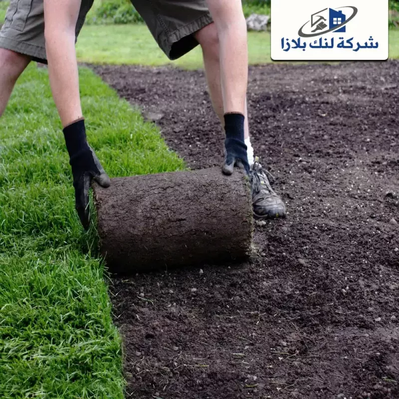 توريد تركيب عشب طبيعي ام القيوين |0566405434| تنسيق حدائق توريد تركيب عشب طبيعي ام القيوين |0566405434| تنسيق حدائق